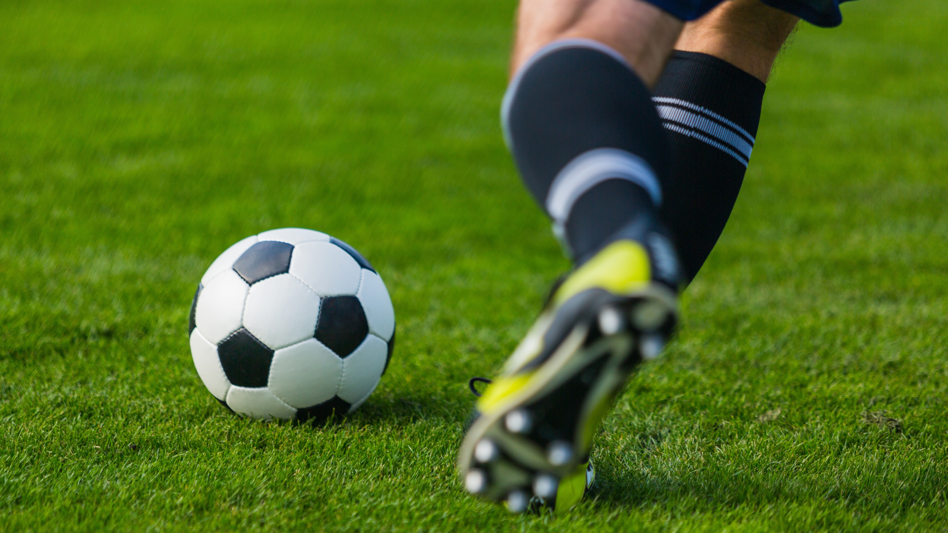 players infoguide dmgconselistas